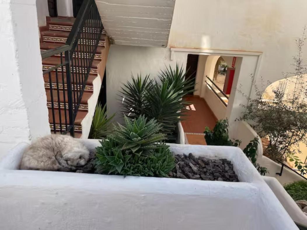 Pueblo Evita Apartment In Exclusive Holiday Complex Benalmadena Luaran gambar